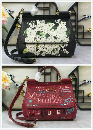 Picture of DG Lady Handbags _SKUfw63243205fw